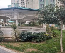 Kirayə (aylıq) Yeni Tikili Nərimanov r.