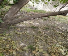 Satılır Torpaq Quba ş. Satılır Torpaq Quba ş.