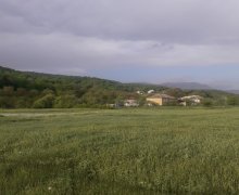 Satılır Torpaq Qusar ş.