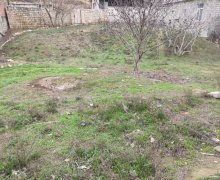 Satılır Torpaq İçərişəhər m., Badamdar qəs., Səbail r.