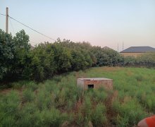 Satılır Torpaq Savalan qəs., Sabunçu r.