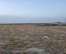 Satılır Torpaq Məhəmmədli, Abşeron r.