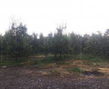 kreditle torpaq alqi satqis Qəbələ ş.