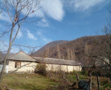 Satılır Torpaq Qəbələ ş.