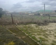 elanlari alqi satqisi elanlari Mingəçevir ş.