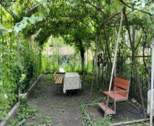 Kirayə (günlük) Həyət evi/villa Qax ş. Kirayə (günlük) Həyət evi/villa Qax ş.