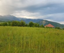 Satılır Torpaq İsmayıllı ş.