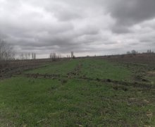 xacmazda torpaq alqi satqisi Xaçmaz ş.