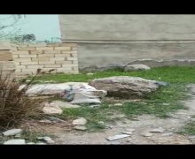 sumqayitda heyet evlerinin satisi/villa Sumqayıt ş.