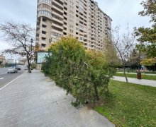 Kirayə (aylıq) Obyekt Gənclik m., Nərimanov r.