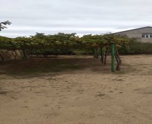 Satılır Həyət evi/villa Buzovna, Xəzər r.