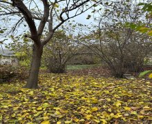 Продажа Участок Гябяля г.