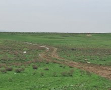 Satılır Torpaq Fatmayi, Abşeron r.