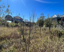 Satılır Torpaq Bərdə ş.