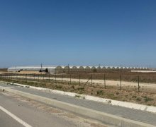 Продажа Объект Фатмаи, Абшерон р.