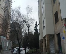 Kirayə (aylıq) Köhnə Tikili İnşaatçılar m., Yasamal r.