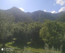 elanlari alqi satqisi elanlari Oğuz ş.