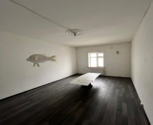 Аренда Объект м. Эльмляр Академиясы м., пос. Бадамдар, Сябаиль р.