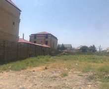 badamdar Torpaq Badamdar qəs., Səbail r. badamdar Torpaq Badamdar qəs., Səbail r.
