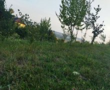 ismayillida torpaq alqi satqisi İsmayıllı ş.