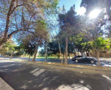 Kirayə (aylıq) Ofis Xalqlar dostluğu m., Səbail r.