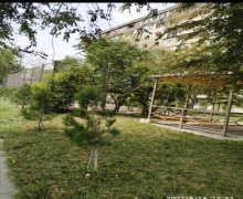 kohne gunesli evlerin qiymeti Həzi Aslanov m., Köhnə Günəşli qəs., Xətai r.