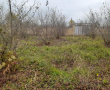 xacmazda torpaq alqi satqisi Xaçmaz ş.