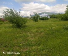 Kirayə (günlük) Həyət evi/villa Qəbələ ş.