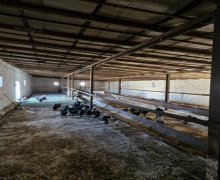 Satılır Obyekt Bahar qəs., Suraxanı r.