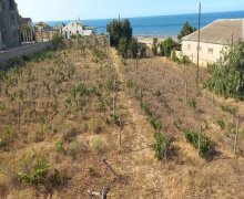 Satılır Həyət evi/villa Novxanı, Abşeron r.