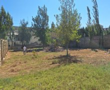 novxanida torpaq satilir Novxanı, Abşeron r.