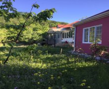 Kirayə (günlük) Yeni Tikili Quba ş.