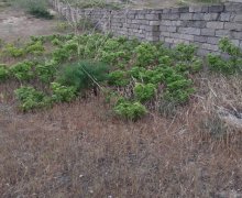 Satılır Torpaq Kürdəxanı qəs., Sabunçu r.