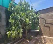 Satılır Torpaq Xəzər r.