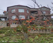 Satılır Bağ evi Novxanı, Abşeron r.