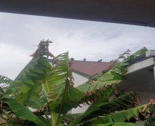 Satılır Həyət evi/villa Bilgəh qəs., Sabunçu r.