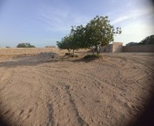 Satılır Torpaq Türkan, Xəzər r.