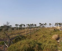 mastagada torpaq alqi satqisi Maştağa qəs., Sabunçu r.