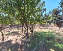 Satılır Torpaq Masazır, Abşeron r.