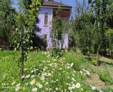 lerik günlük istirahet merkezleri/villa Lerik ş.