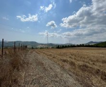 ismayillida torpaq alqi satqisi İsmayıllı ş.