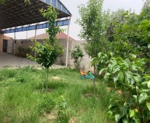 masazirda heyet evlerinin satisi/villa Masazır, Abşeron r.