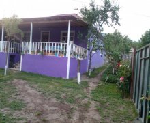 gunluk bag günlük evleri Qəbələ ş.