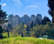 Продажа Новостройка м. Гянджлик м., Наримановский р-н р.