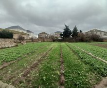 Satılır Torpaq Buzovna, Xəzər r.