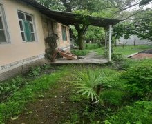 Kirayə (günlük) Həyət evi/villa Qəbələ ş. Kirayə (günlük) Həyət evi/villa Qəbələ ş.