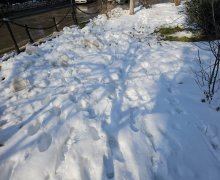 Satılır Torpaq Nəsimi m., 9-cu mikrorayon, Binəqədi r.