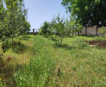 Kirayə (günlük) Yeni Tikili Quba ş.