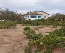 buzovnada torpaq satilir Buzovna, Xəzər r.