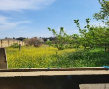 rayonlarda torpaq alqi satqisi Goradil, Abşeron r.